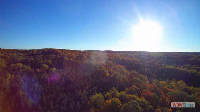 Sunset: The Land - Prattsburgh, NY