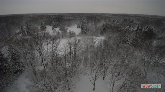 Soft Snow: Local Park - Webster, NY