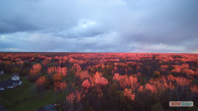 Matchstick Treetops: Rural Home - Ontario, NY