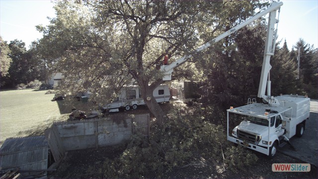 Tree Service: Don and Jon - Ontario, NY